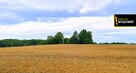 Działka budowlana Nowa Wieś gm. Pasłęk, - 3