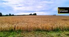 Działka budowlana Nowa Wieś gm. Pasłęk, - 4