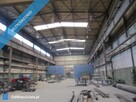 Budynki produkcyjno-magazynowe z częścią socjalno-biurową na sprzedaż - 6