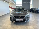 Cupra Formentor 2.0TSI 190KM DSG 2024 r., salon PL, I właściciel, f-a VAT, gwarancja - 3