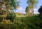 Działka z dostępem do jeziora, budowlana - 13