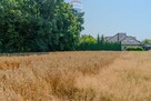 KOMOROWICE ŚLĄSKIE – DZIAŁKA BUDOWLANA - 11