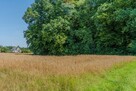 KOMOROWICE ŚLĄSKIE – DZIAŁKA BUDOWLANA - 10
