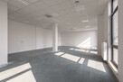 Lokal użytkowy Wrocław Psie Pole, Psie Pole, Żmigrodzka - 10