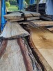 Sprzedam foszty debowe oraz olchy - 1