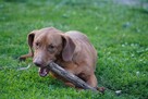 Kuba - wulkan energii szukający swojego miejsca na ziemi! - 2