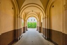 Wynajmę artystyczne mieszkanie w Centrum Warszawy, 2 pokoje - 6