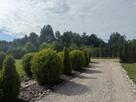 Dom Ludowinka gm. Wodzierady, - 3