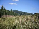 Działka inwestycyjna Juszczyna gm. Radziechowy-Wieprz, - 1