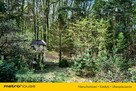 Działka budowlana w miejscowości Sokolniki-Las - 9