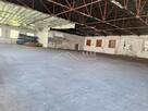 Hala magazynowa 2000 m² do wynajęcia - 2
