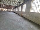 Hala magazynowa 2000 m² do wynajęcia - 6