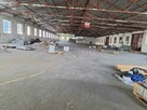 Hala magazynowa 2000 m² do wynajęcia - 7