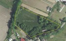 Brzezie, duża działka- dokonaj podziału i zarabiaj - 3