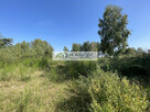 Gołczewo- działka rekreacyjna - 2