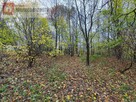 Działka budowlana Filipowice gm. Krzeszowice - 1