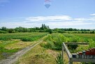 Dom na działce 1,5ha - 12