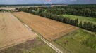 Kicin k/Poznania|3007 m²|Kapitał rosnący w ciszy - 5