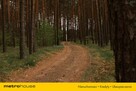 Duża działka z domkami holenderskimi przy rzece!! - 15
