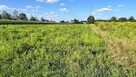 Parczew, Nosalskiego – działka budowlana - 6