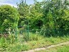 Sprzedam Ogródek działkowy ROD Energetyk 1 w Koninie - 5