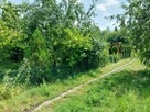 Sprzedam Ogródek działkowy ROD Energetyk 1 w Koninie - 6