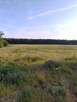 Dzialki na sprzedaż - 2