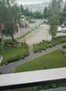 Miesz. w apart Siewna 30 Górka Narodowa - 9