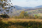 Sprzedam dom w leśnym zaciszu koło Limaniwej/Beskid Wyspowy - 3