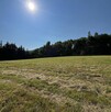 Sprzedam działkę budowalną blisko lasu - 4