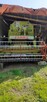 Claas Mercator 75 - 1