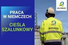 Cieśla szalunkowy - 2