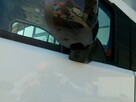Citroen Berlingo XL 1.5 BlueHDi 130. Przedłużony. * Gwarancja na 4 lata lub 200 tys. km - 16