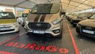 Ford Tourneo Custom - 3