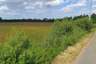 Działka 1398 m2 z warunkami zabudowy k/Włocławka - 1