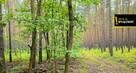 Działka leśna Strzegomek gm. Rytwiany, - 3