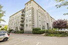 Przestronne, 3 pok. 62,5 m 2 - Poznań, os. Jagiełły - 16