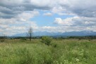 Działka Odrowąż widok na Tatry - 3
