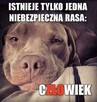 Poznam kogoś normalnego - 12
