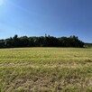 Sprzedam działkę budowalną blisko lasu - 1