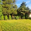 Sprzedam ogródek dzialkowy - 1