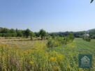Działka budowlana Bodzanów gm. Biskupice, - 2