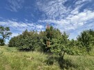 Okazja 3,5 ha | Działka rolna | Dojazd asfaltowy - 3