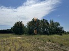 Okazja 3,5 ha | Działka rolna | Dojazd asfaltowy - 4