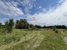 Okazja 3,5 ha | Działka rolna | Dojazd asfaltowy - 5