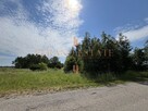 Okazja 3,5 ha | Działka rolna | Dojazd asfaltowy - 6