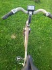 Rower elektryczny Giant Twist 36v 28 Alu Nexus - 4