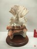 G.Armani kolorowa figura Capodimonte Gołębie - 5