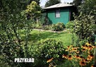 Działka ROD ul. Makarskiego - 1