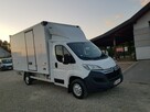 Citroen Jumper Kontener * izoterma *salon Polska* jeden właściciel * - 3